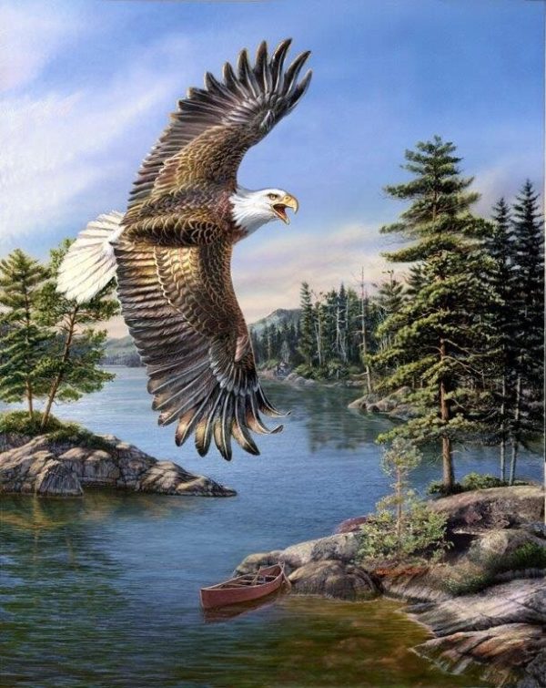 Heritage Eagle